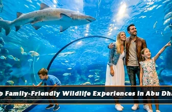 Top Family-Friendly Wildlife Experiences in Abu Dhabi