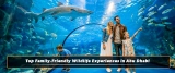 Top Family-Friendly Wildlife Experiences in Abu Dhabi